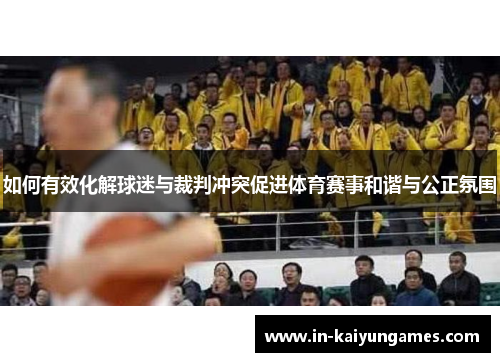 如何有效化解球迷与裁判冲突促进体育赛事和谐与公正氛围