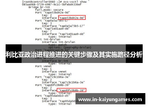 利比亚政治进程推进的关键步骤及其实施路径分析