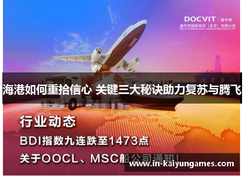 海港如何重拾信心 关键三大秘诀助力复苏与腾飞