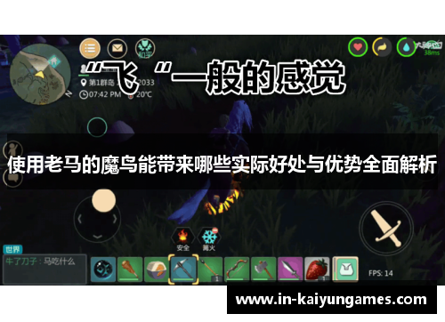 使用老马的魔鸟能带来哪些实际好处与优势全面解析