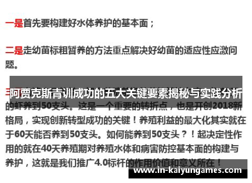 阿贾克斯青训成功的五大关键要素揭秘与实践分析 阿贾克斯青训成功的五大关键要素揭秘与实践分析